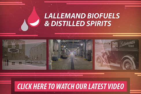 About Lallemand Biofuels & Distilled Spirits